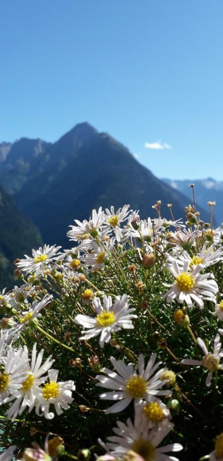 Landhaus Zum Griena Mayrhofen Esterno foto